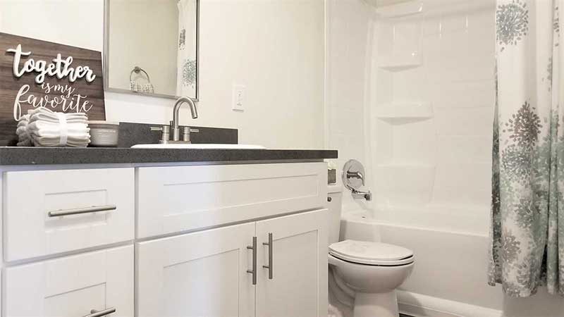 Bathroom counter and shower interior photo of Bleu Apartments