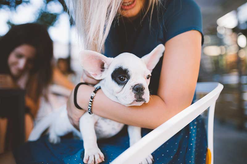 Woman holding her puppy